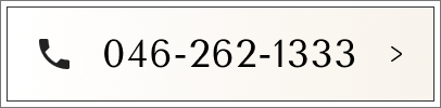 046-262-1333