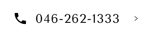 046-262-1333